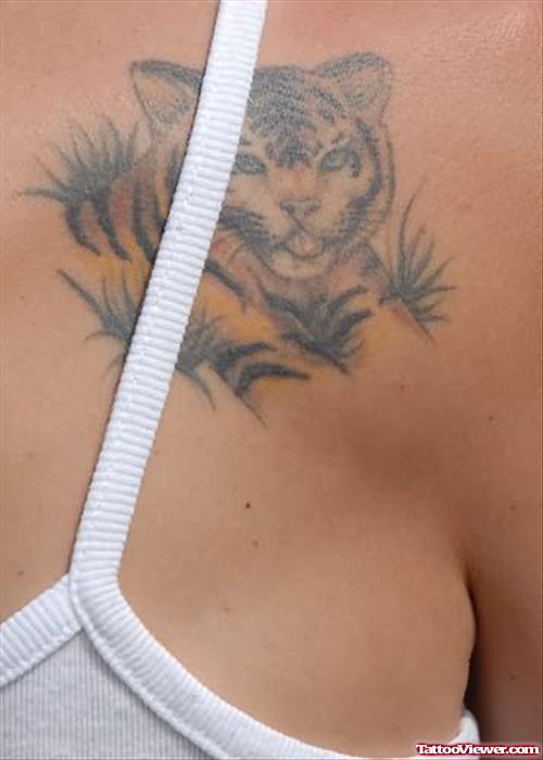 Tiger Cat Tattoo On Back