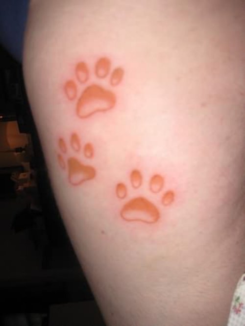 Cat Foot Prints Tattoo