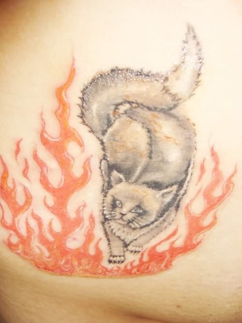 Cat in Fire Tattoo