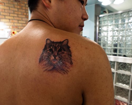Right Back Shoulder Cat Tattoo