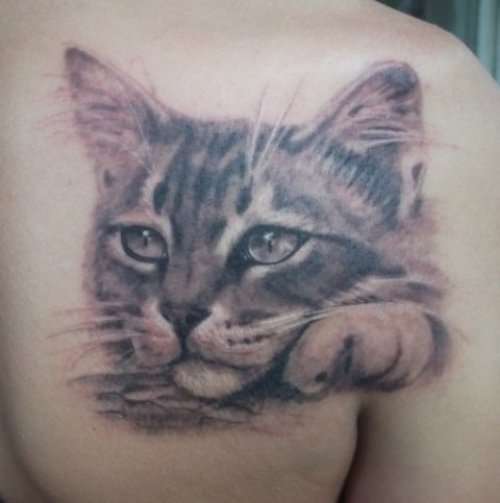 Grey Ink Cat Head Tattoo On Right Back Shoulder