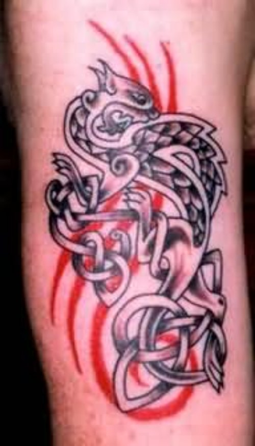 Terrific Dragon Celtic Tattoo