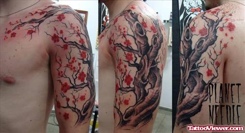 Cherry Blossom Flowers Tree Tattoo On Bicep And Chest