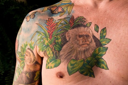 Grey Ink Monkey Chimpanzee Tattoo On Half Sleeve And Chest