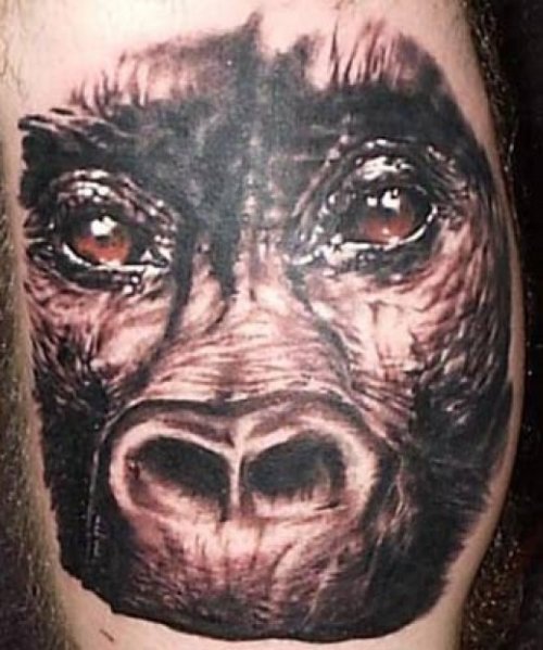 Grey Ink Chimpanzee Head Tattoo On Leg