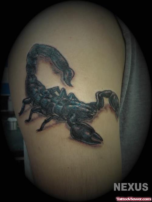 Wild Scorpion Tattoo