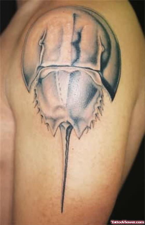 Horseshoe Crab Tattoo