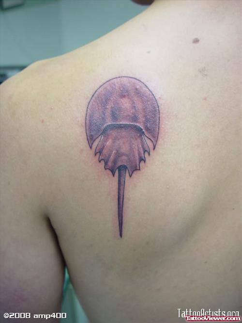 Tiny Crab Tattoo On Back