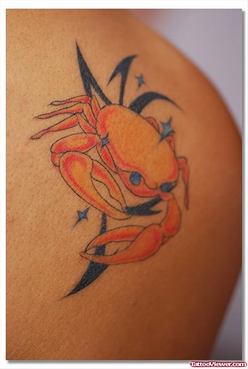 Beautiful Crab Tattoo For Body
