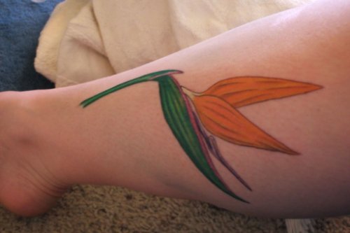 Color Crane Flower Tattoo On Leg