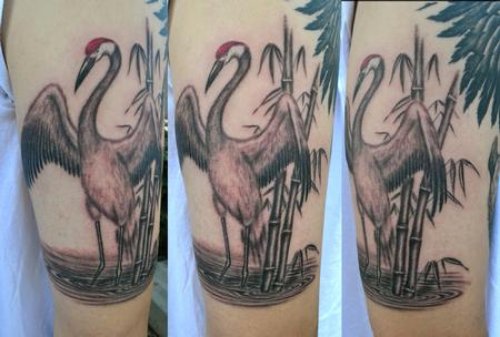 Grey Ink Crane Tattoo On Left Sleeve
