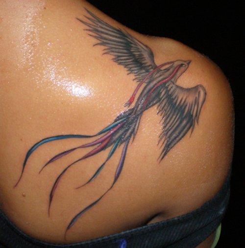 Color Flying Crane Tattoo On Right Back Shoulder