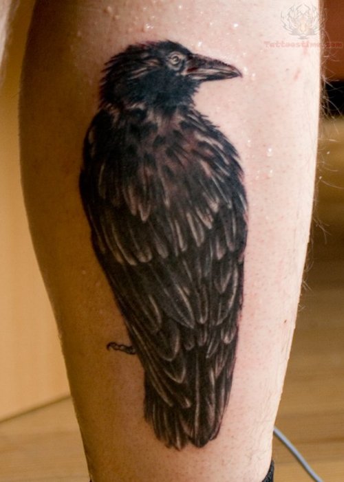 Nice Crow Tattoo Idea