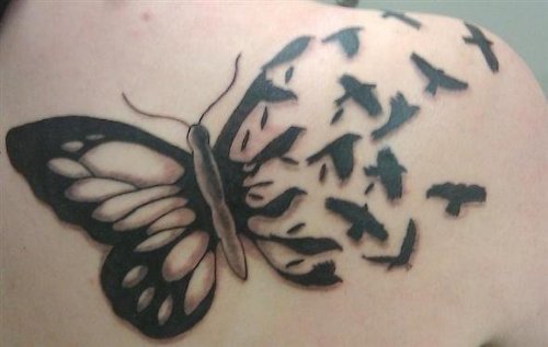 Flying Crow Tattoos On Shoulder