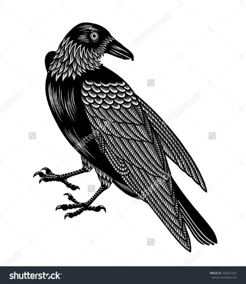 Black And White Crow Tattoo Design