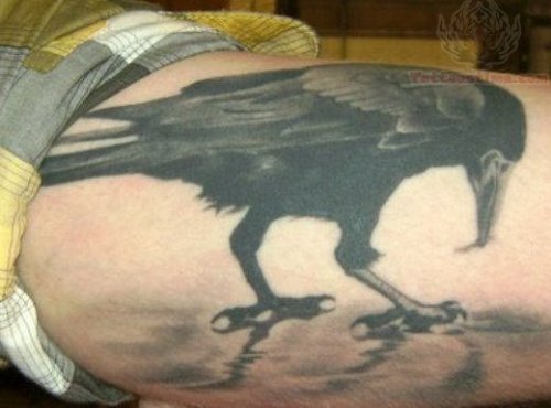 Black Crow Tattoo On Arm