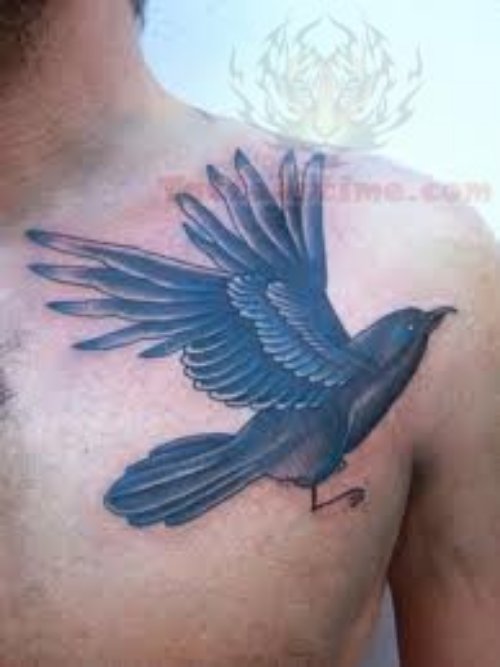 Crow Tattoo On Men Chest