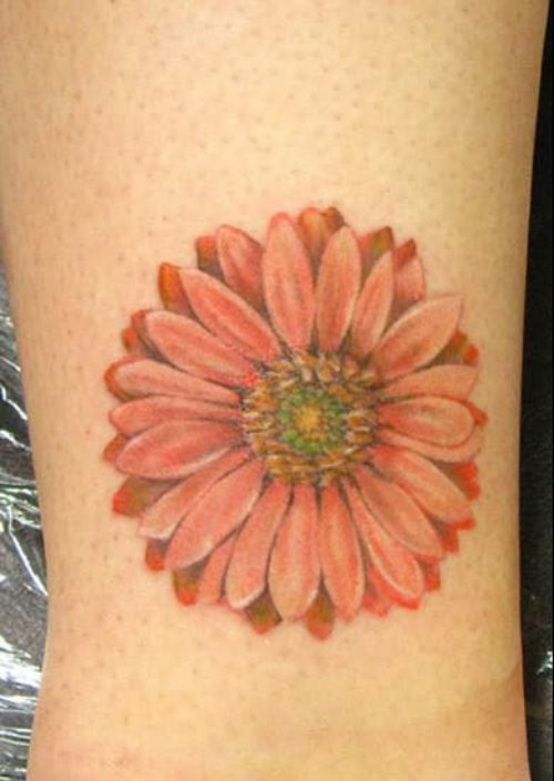 Amazing Daisy Flower Tattoo