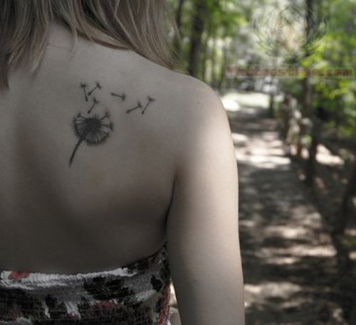 Dandelion Back Shoulder Tattoo For Young Girl