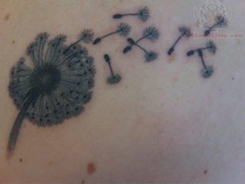 Dandelion Back Body Tattoos