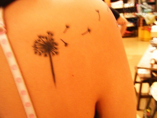Dandelion Tattoo On Back Shoulder For Young Girls