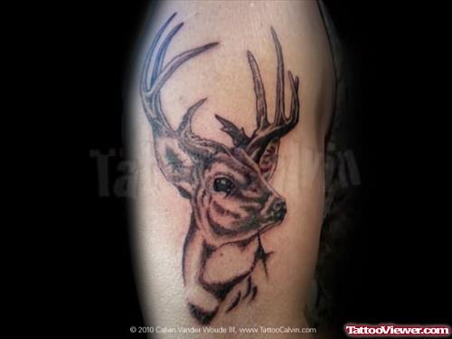 Deer Portrait Tattoo
