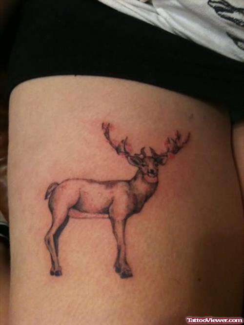 Ribs Deer Tattoos