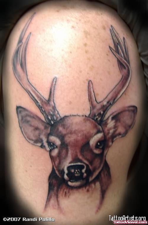 Deer Face Tattoo Image