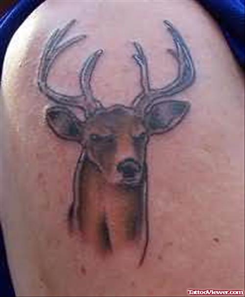Creative Deer Tattoo
