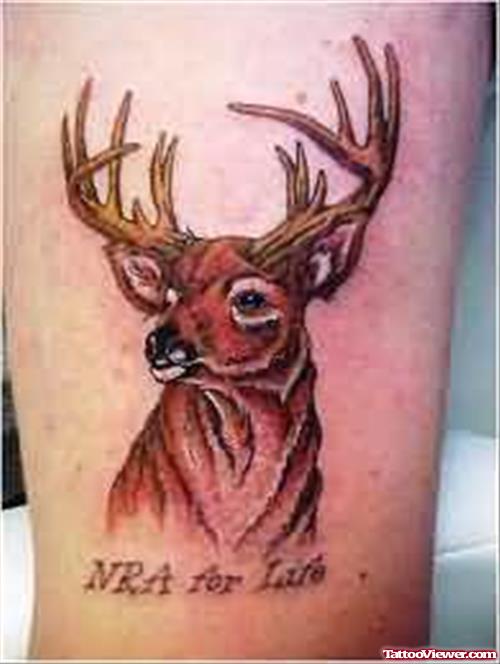 Amazing Deer Tattoos