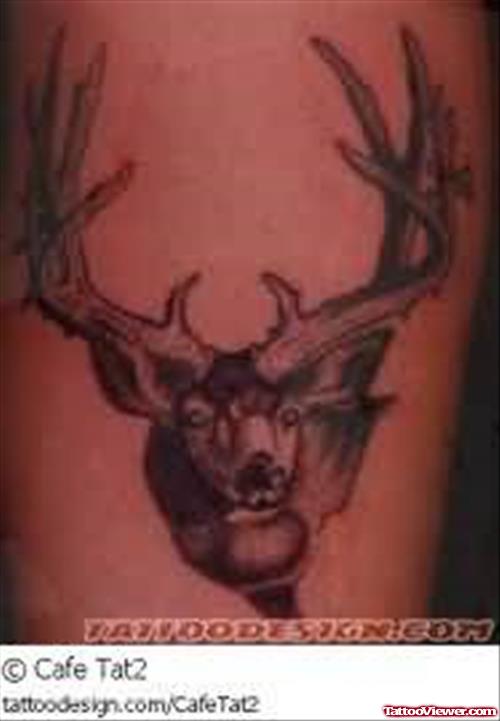 A Deer Tattoo Design Picture