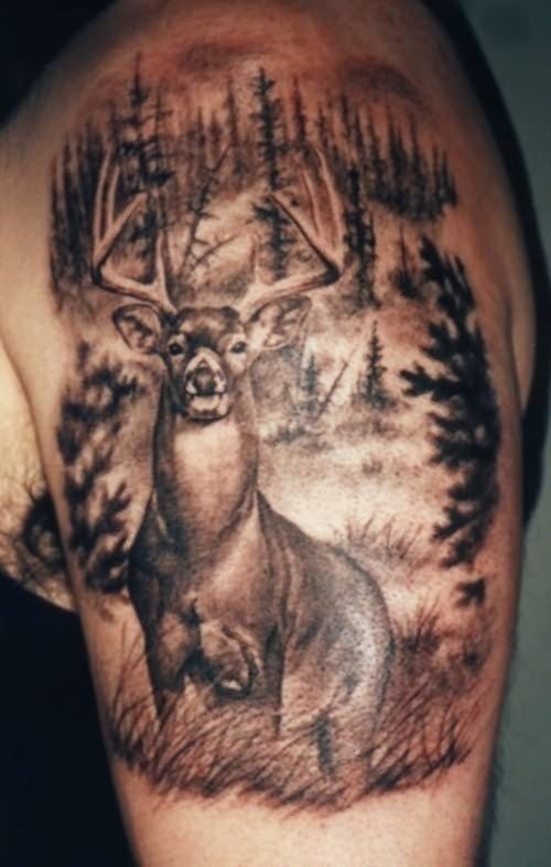 Deer Tattoos Standing In Field