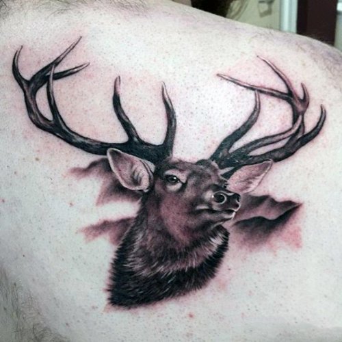 Grey Ink Antler Deer Tattoo On Right Back Shoulder