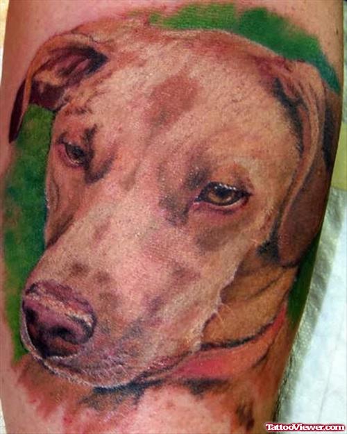 Dog Head Coloured Tattoo