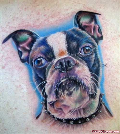 Coloured Dog Face Tattoo