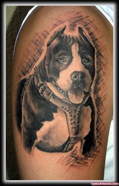 Black Dog Tattoos Image