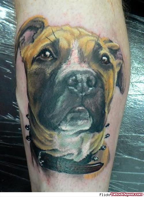 Big Nose Dog Tattoo