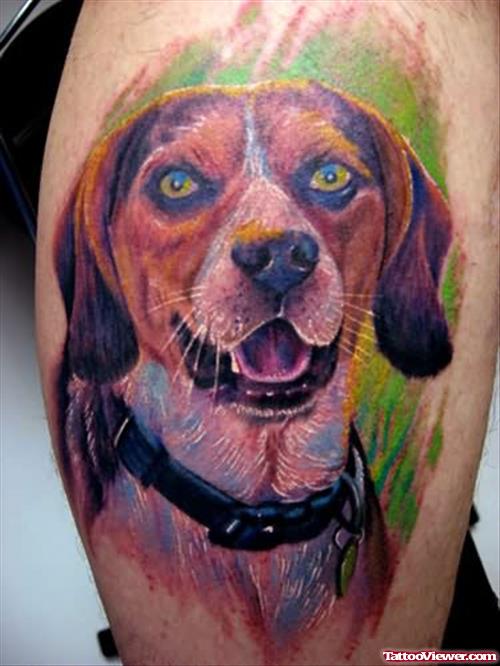 Tattoos Nature Animal Dog