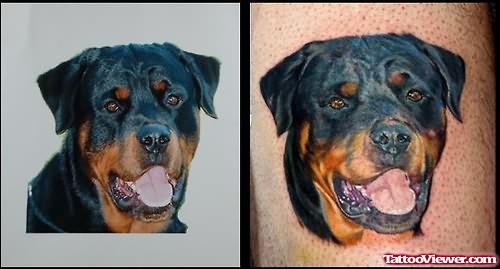 Orignal Dog Tattoo Image