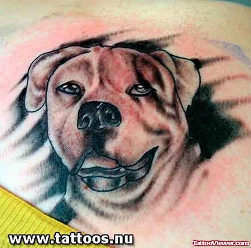 Favorite Dog Tattoo For Body