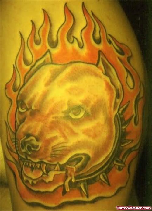 Dog In Flames Tattoo On Bicep