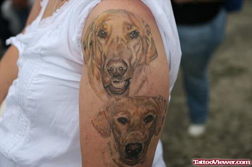 Cute Dog Heads Tattoos