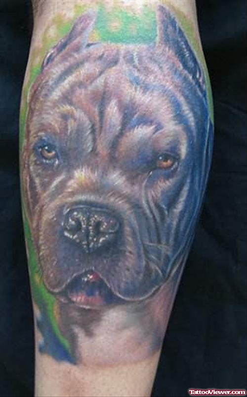 Smart Dog Tattoo