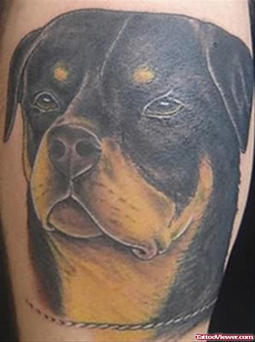 Nice Dog Tattoo On Leg