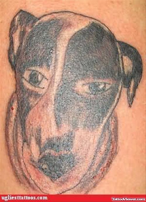 Dog Tattoo Closeup Picture