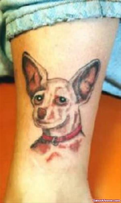 Big Ear Dog Tattoo On Leg