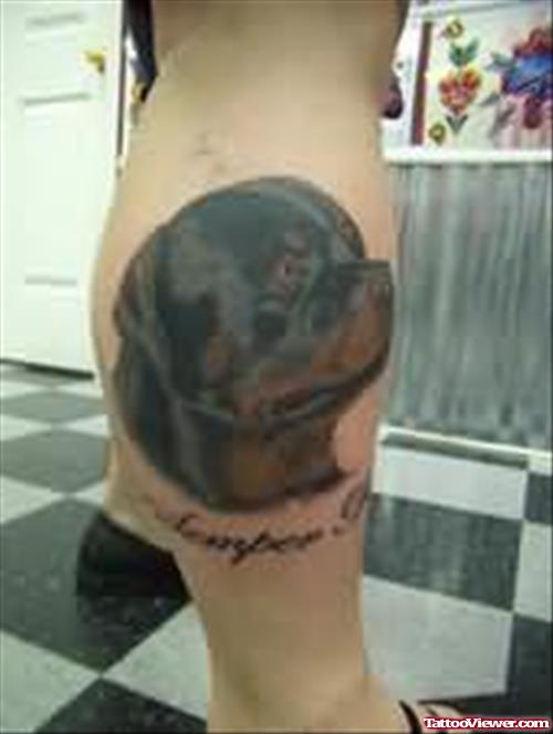 Rottweiler Head Tattoo on Leg