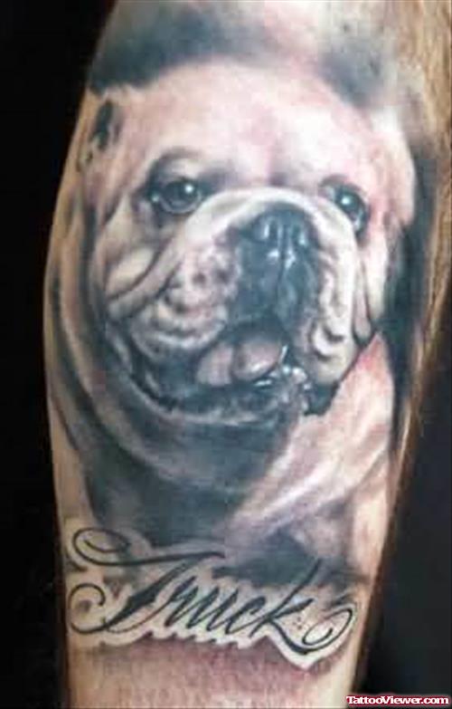 English Bulldog Portrait Tattoo
