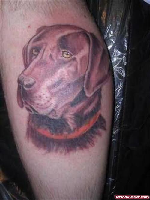 Cute Eyes Dog Tattoo