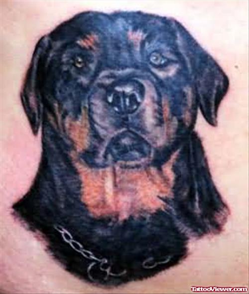 Black Dog Shining Face Tattoo